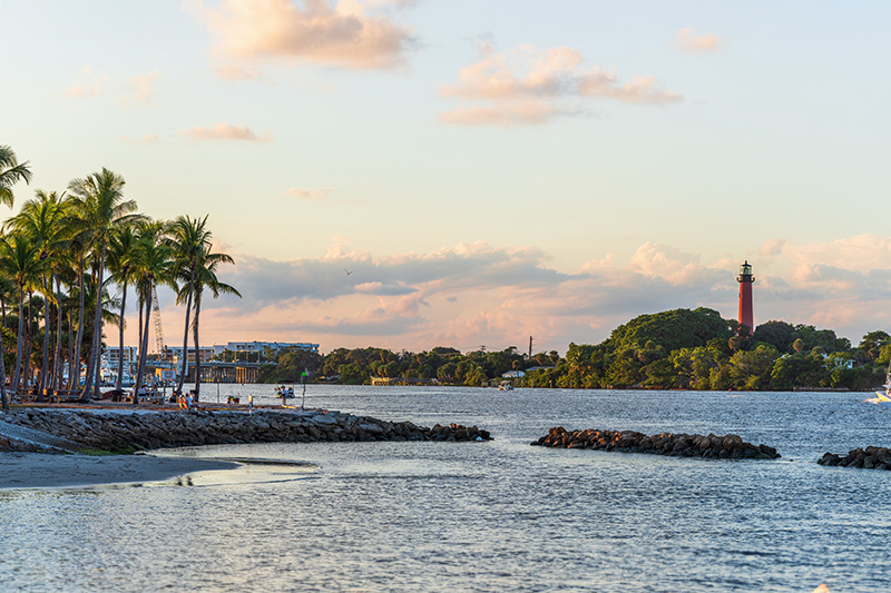 A beach scene with palm trees, boats on the water, a pier, and a coastal city skyline at sunset.